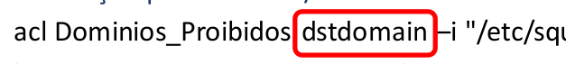 Squid Proxy dstdomain