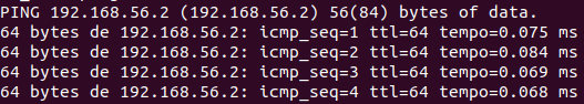 ping test from real machine to virtual machine