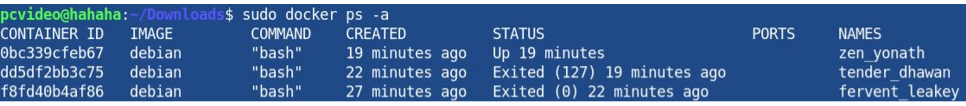 sudo docker ps  -a 