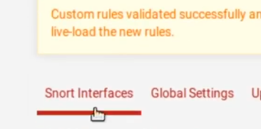 SNORT INTERFACES