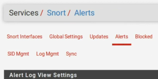 SNORT ALERTS