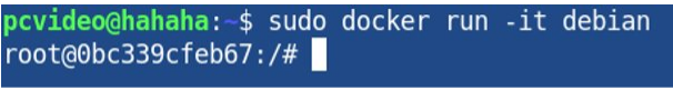 sudo docker run -it debian 