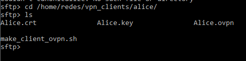 Command ls inside Alice directory