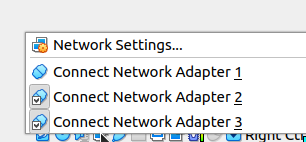 Disable Network adapter 1 = Our first WAN 