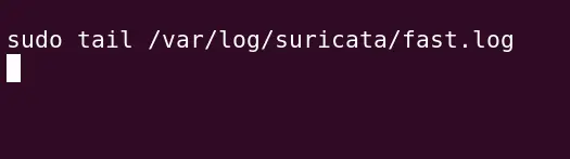 suricata_logs1