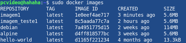 The command docker images shows our new docker image 
