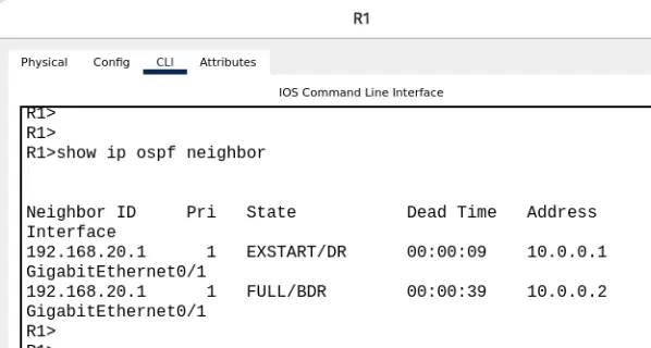 ospf_packetracer10